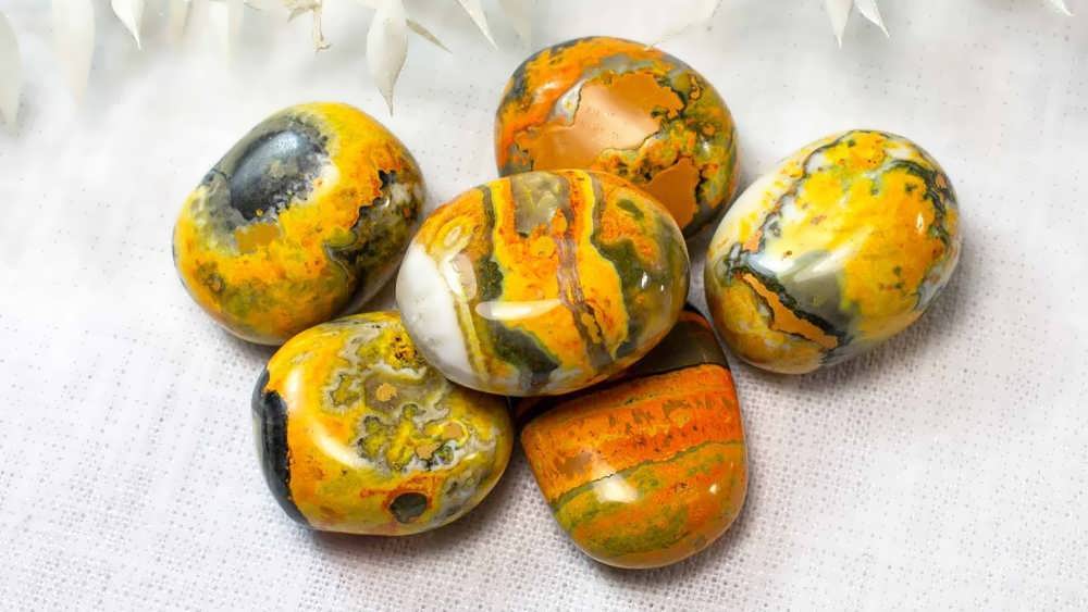 چاکرای شبکه خورشیدی