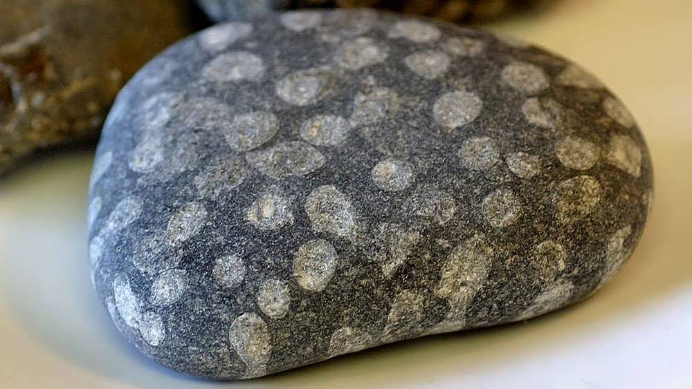 سنگ های رسوبی