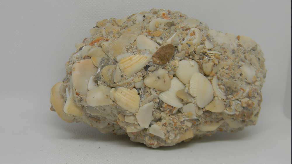 سنگ های رسوبی