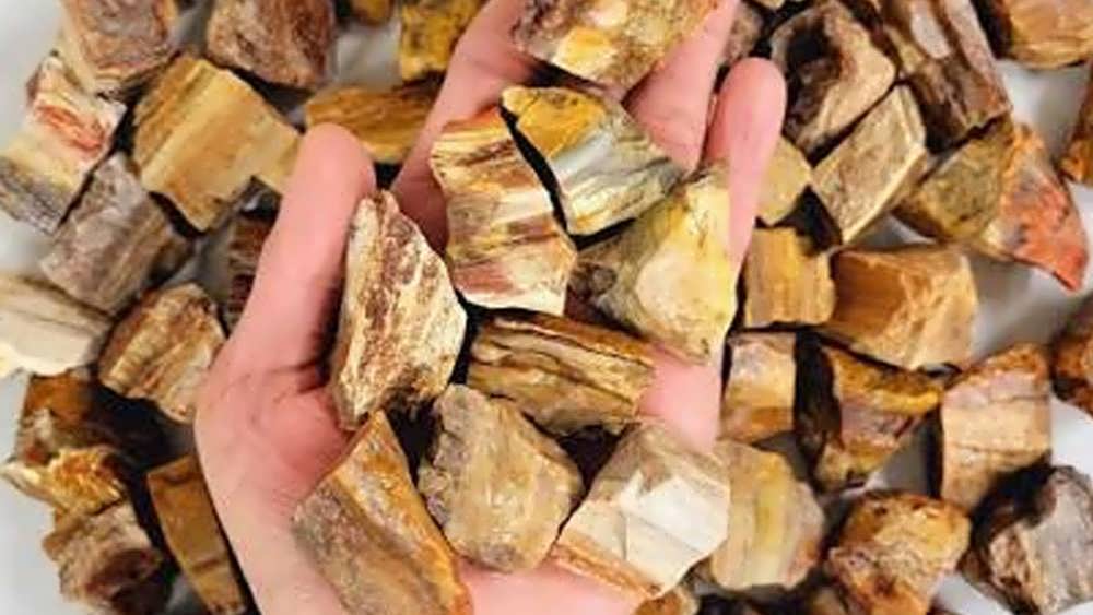 نحوه استفاده از سنگ چوب فسیل شده در زندگی روزمره