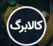 افزایش مبلغ کالابرگ الکترونیکی/ آخرین خبر از تصمیم دولت و مجلس