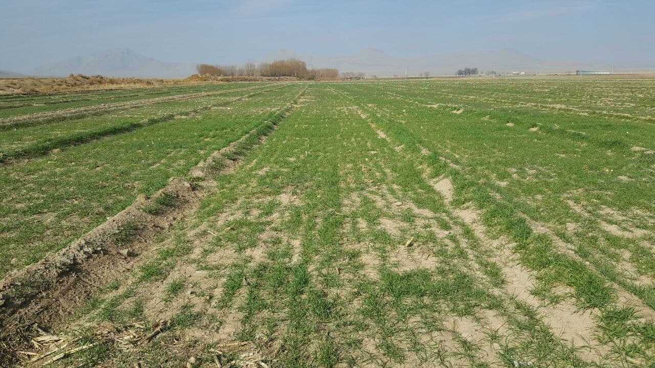 مالکان اراضی روستایی بخوانند / مراحل تغییر کاربری زمینهای کشاورزی به مسکونی اعلامشد