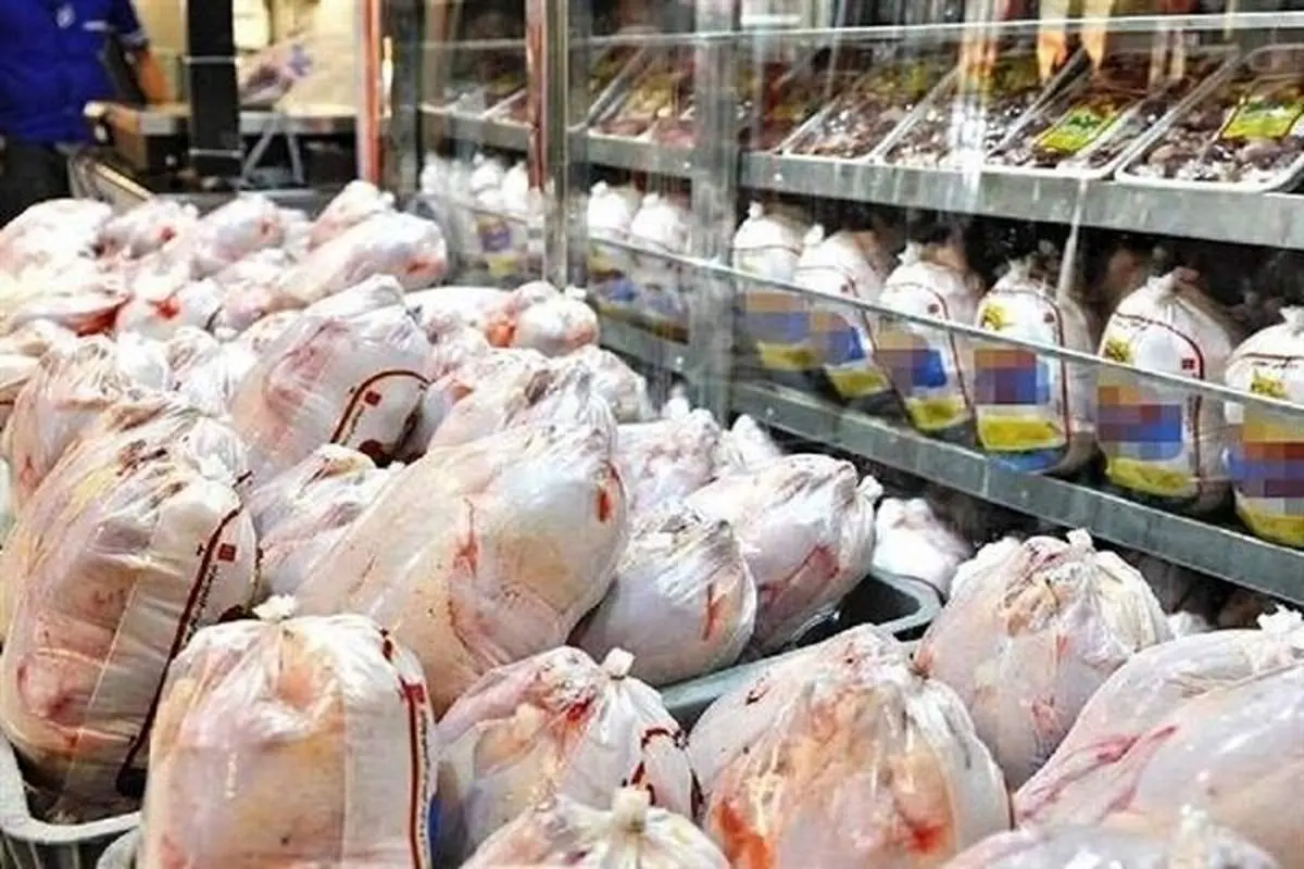 قیمت مرغ امروز دوشنبه 29 تیر ۱۴۰5