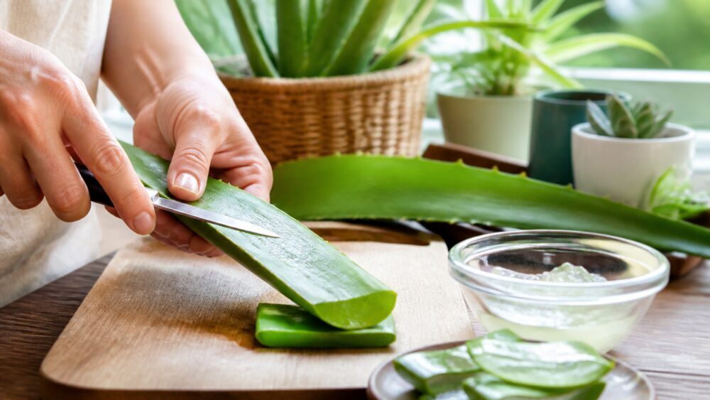 برگ آلوئه ورا که از طول برش خورده و ژل شفاف آن روی تخته چوبی آشکار است