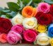دسته‌ای از رزهای قرمز، زرد، سفید، صورتی و آبی روی میز چوبی در نور طبیعی