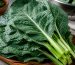 دسته‌ای کلم کولارد تازه با برگ‌های سبز تیره روی تخته چوبی در آشپزخانه روشن