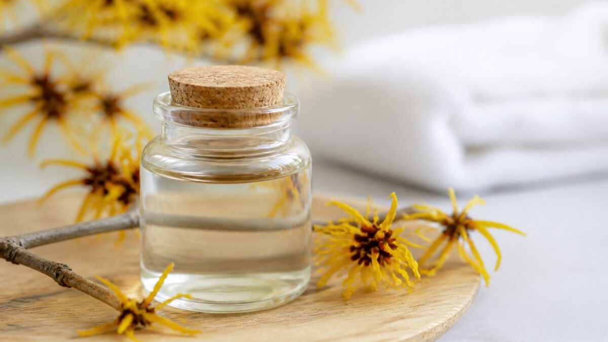 بطری شیشه‌ای عصاره گیاهی در کنار شاخه‌های گل زرد ویچ هازل روی میز روشن